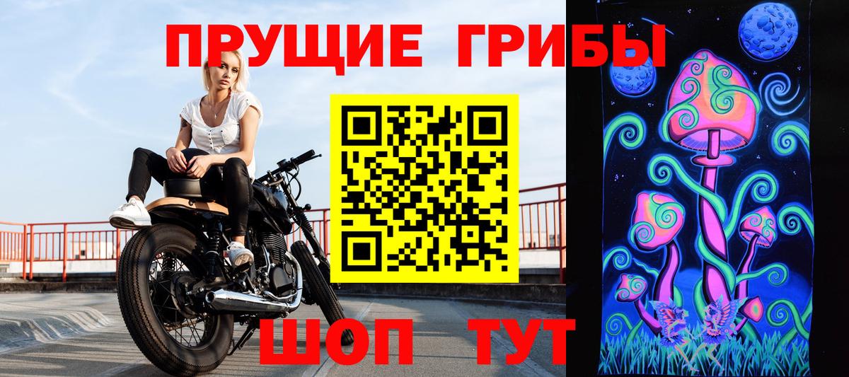 Псилоцибиновые грибы прущие грибы Прокопьевск