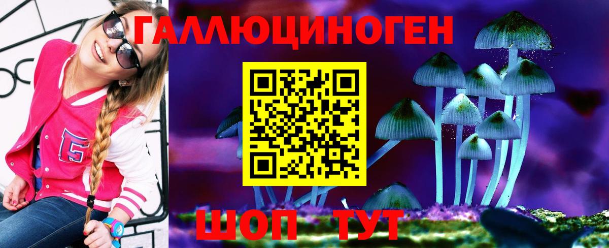 Прокопьевск  Псилоцибиновые грибы Psilocybine cubensis  Вход с VPN 